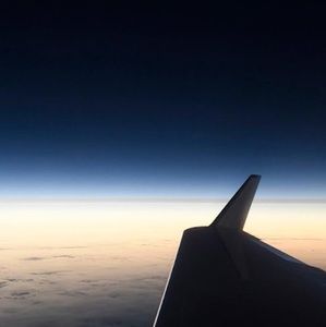 Meet your Posher, Phoebe